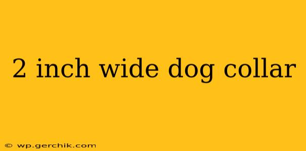 2 inch wide dog collar