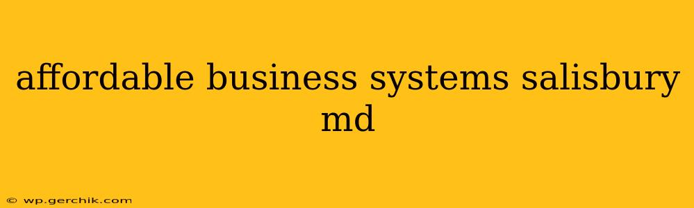 affordable business systems salisbury md