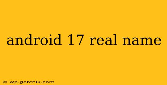 android 17 real name