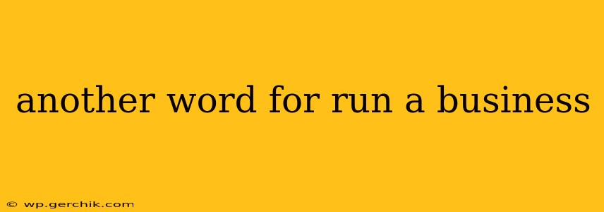 another word for run a business
