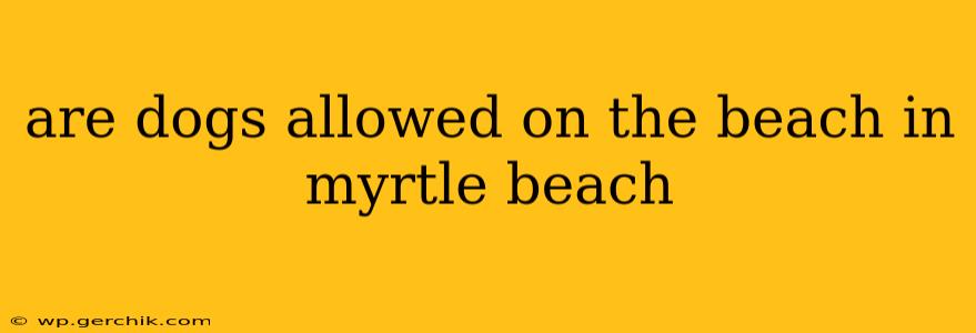 are dogs allowed on the beach in myrtle beach