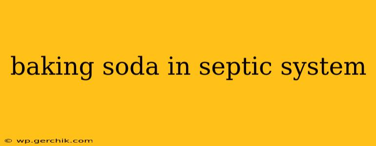 baking soda in septic system