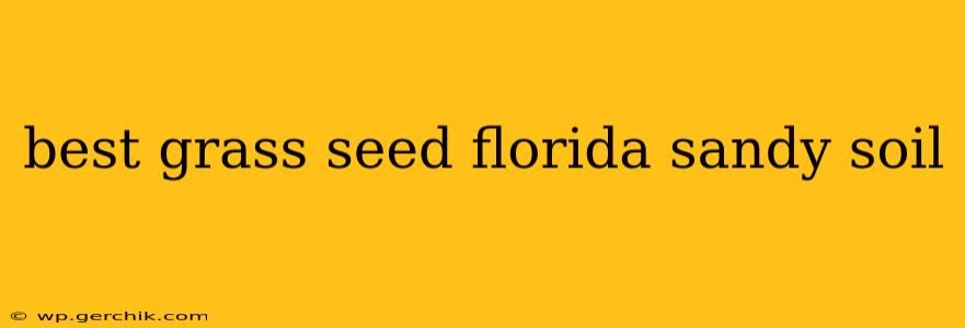 best grass seed florida sandy soil