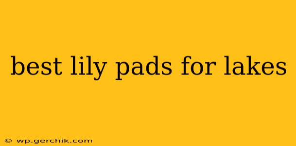 best lily pads for lakes
