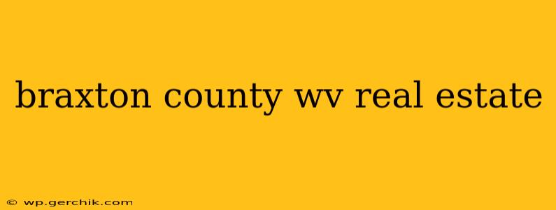 braxton county wv real estate
