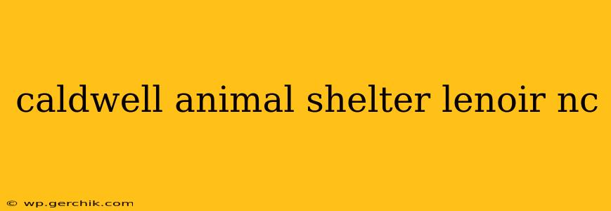 caldwell animal shelter lenoir nc