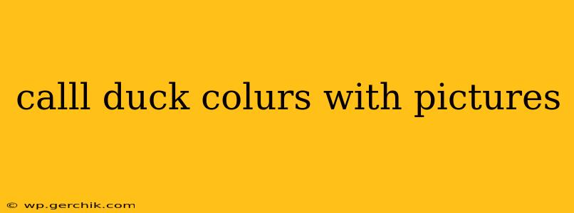 calll duck colurs with pictures