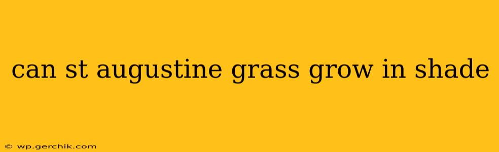 can st augustine grass grow in shade