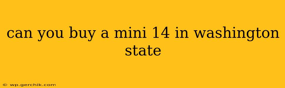 can you buy a mini 14 in washington state