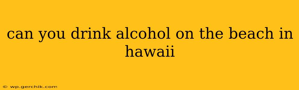 can you drink alcohol on the beach in hawaii