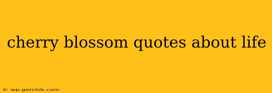 cherry blossom quotes about life