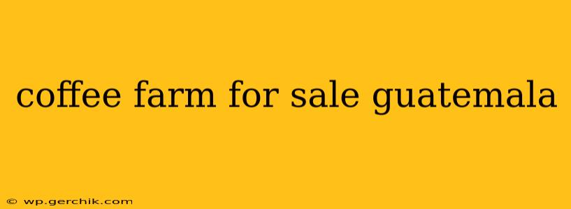 coffee farm for sale guatemala