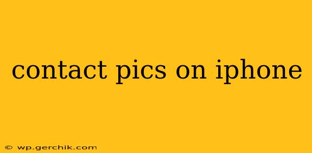 contact pics on iphone