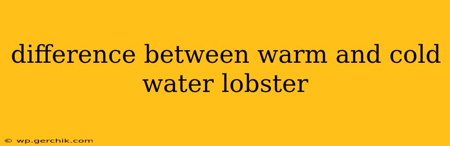 difference between warm and cold water lobster