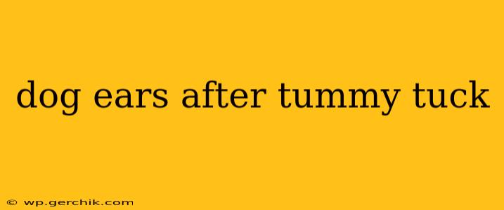 dog ears after tummy tuck