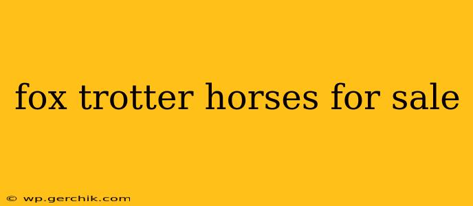 fox trotter horses for sale