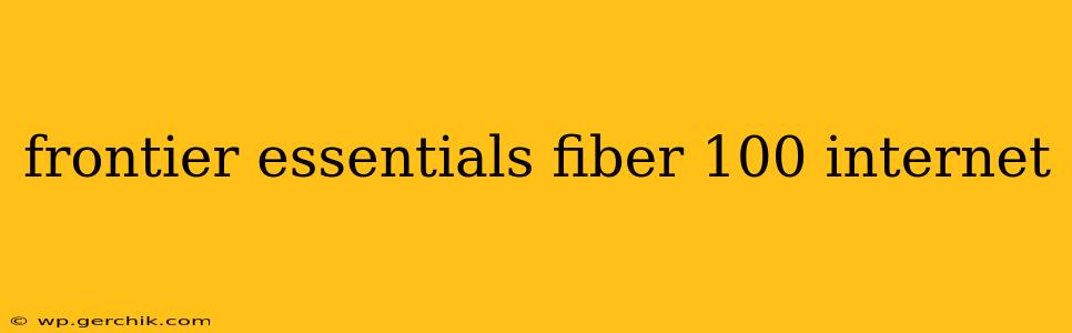 frontier essentials fiber 100 internet