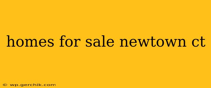 homes for sale newtown ct