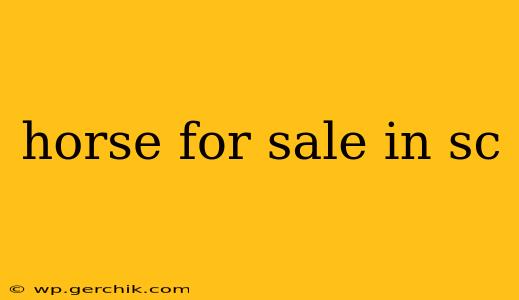 horse for sale in sc