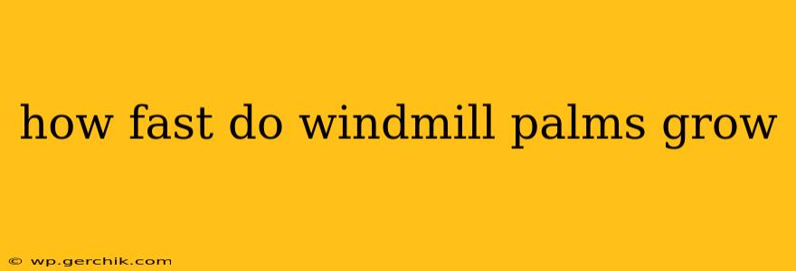 how fast do windmill palms grow