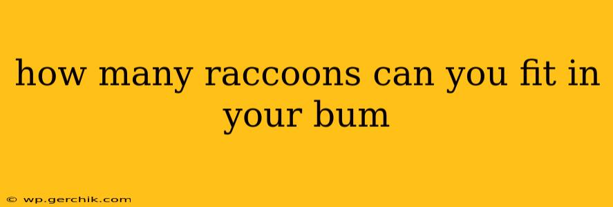 how many raccoons can you fit in your bum