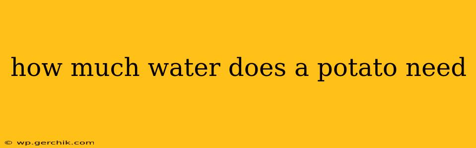 how much water does a potato need