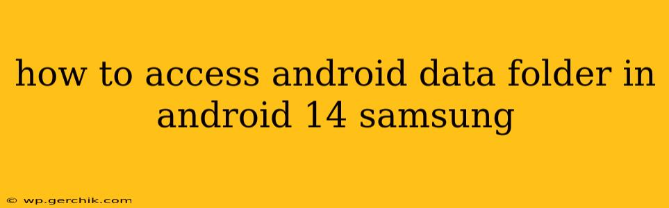 how to access android data folder in android 14 samsung