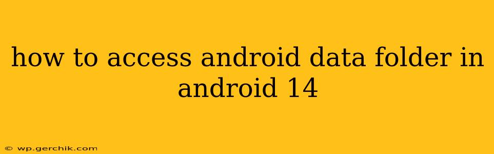 how to access android data folder in android 14