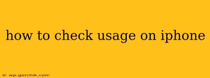 how to check usage on iphone