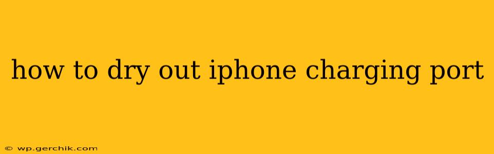how to dry out iphone charging port