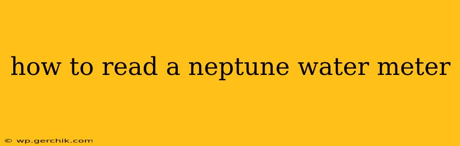 how to read a neptune water meter