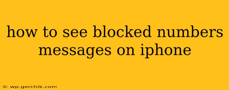 how to see blocked numbers messages on iphone