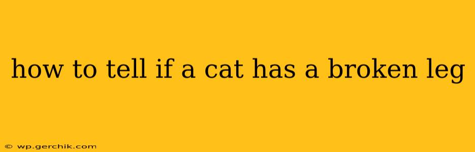 how to tell if a cat has a broken leg