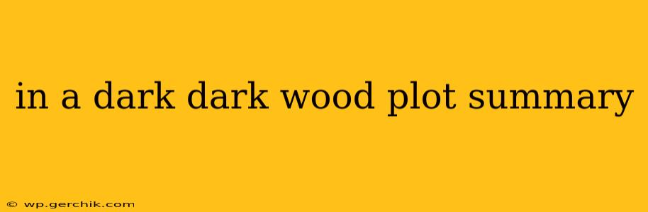 in a dark dark wood plot summary