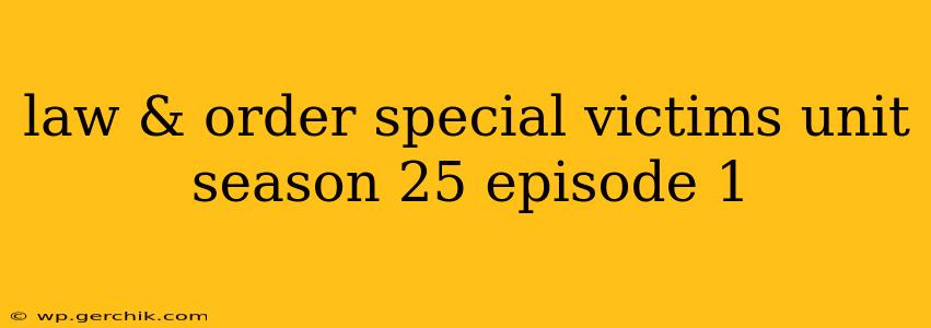 law & order special victims unit season 25 episode 1
