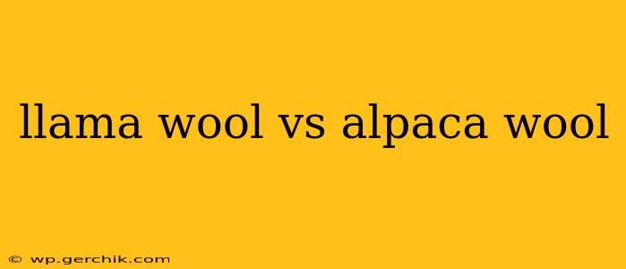 llama wool vs alpaca wool