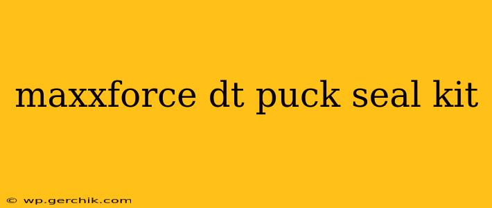maxxforce dt puck seal kit