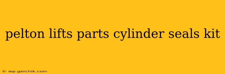 pelton lifts parts cylinder seals kit