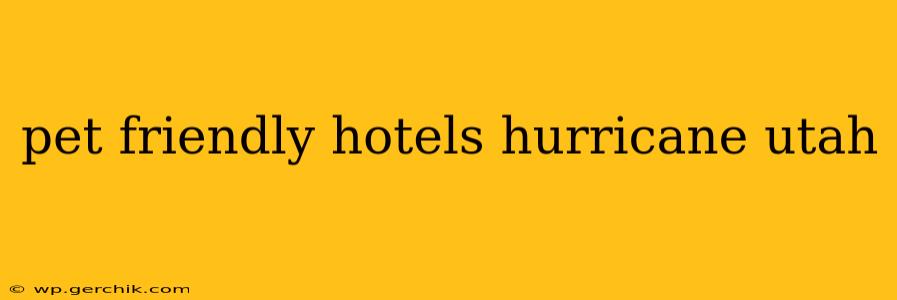 pet friendly hotels hurricane utah