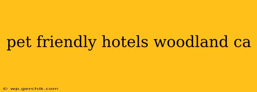 pet friendly hotels woodland ca