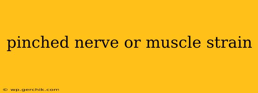 pinched nerve or muscle strain