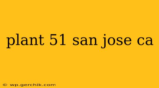 plant 51 san jose ca