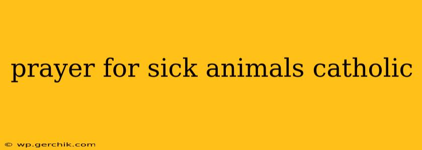 prayer for sick animals catholic