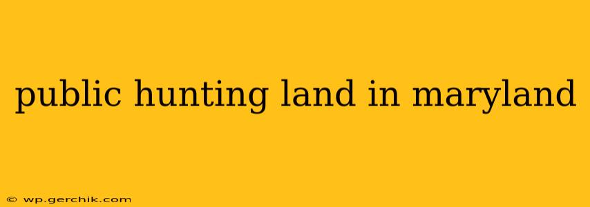 public hunting land in maryland