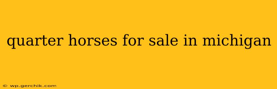 quarter horses for sale in michigan