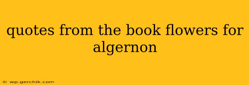 quotes from the book flowers for algernon