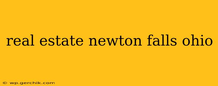 real estate newton falls ohio