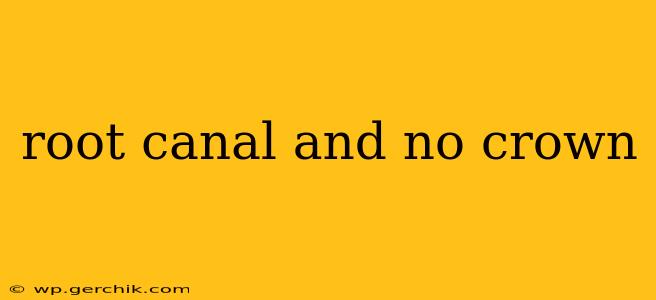 root canal and no crown