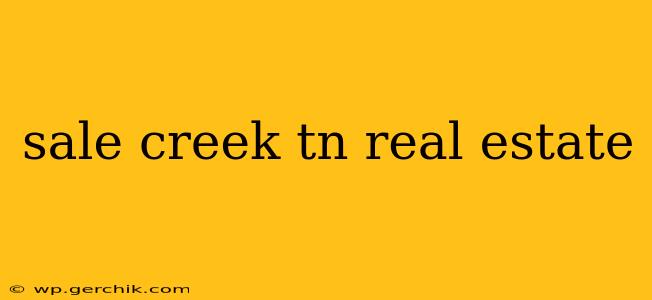 sale creek tn real estate