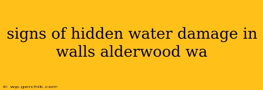 signs of hidden water damage in walls alderwood wa